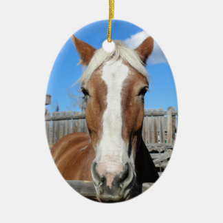 Belgian Draught Horse Ceramic Tree Decoration