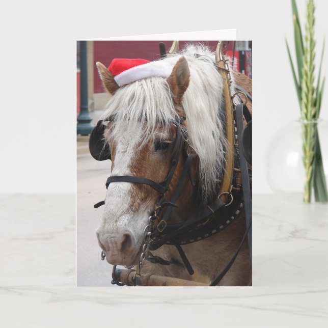 Belgian Draught Horse Christmas Holiday Card (Front)