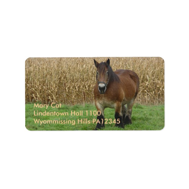 Belgian Draught Horse-in front of a corn field Label (Front)