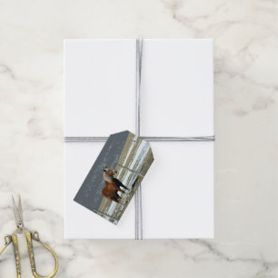 Belgian Draught Horse In Paddock Gift Tag