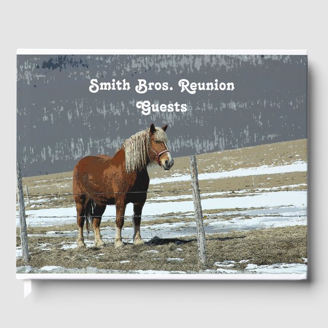 Belgian Draught Horse In Paddock Guest Book (Front)