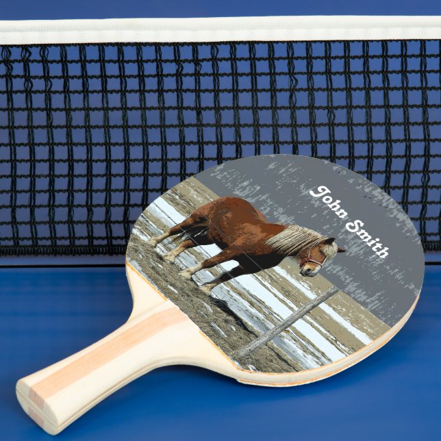 Belgian Draught Horse In Paddock Ping Pong Paddle (Insitu)