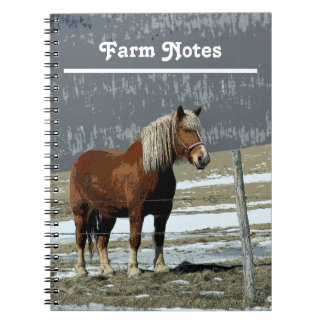 Belgian Draught Horse In Paddock Spiral Notebook