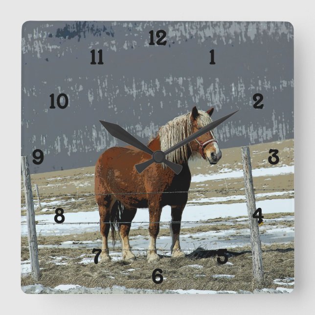 Belgian Draught Horse In Paddock Wall Clock Number (Front)