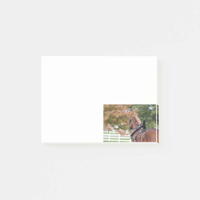 Belgian Draught Horse Post It notes (Front)