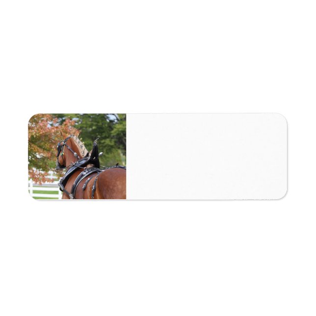Belgian Draught Horse return address labels (Front)
