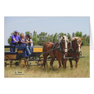 Belgian Draught Horse Wagon