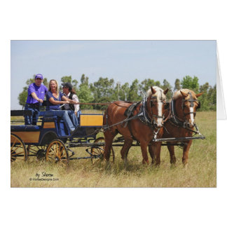 Belgian Draught   Horse Wagon