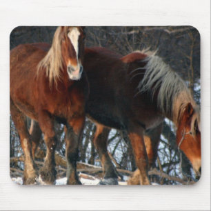 Belgian Draught Horses Mouse Pad