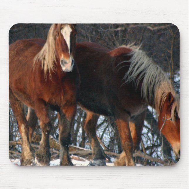 Belgian Draught   Horses Mouse Pad (Front)