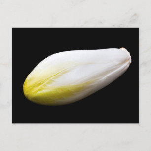 Belgian endive postcard