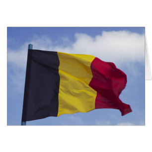 Belgian flag RF)