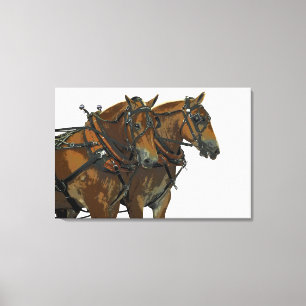 Belgian Horse Draught Team Stretched Canvas Art
