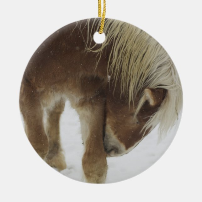 Belgian Horse Ornament (Front)