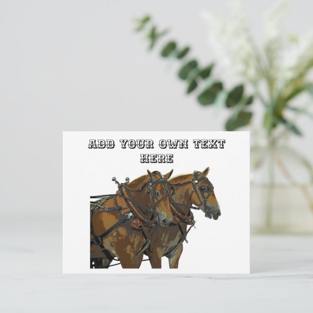 Belgian Horse Team All Purpose Postcard (Standing Front)