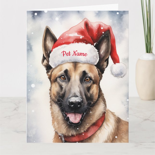 Belgian Malinoi Christmas Personalised  Card (Front)