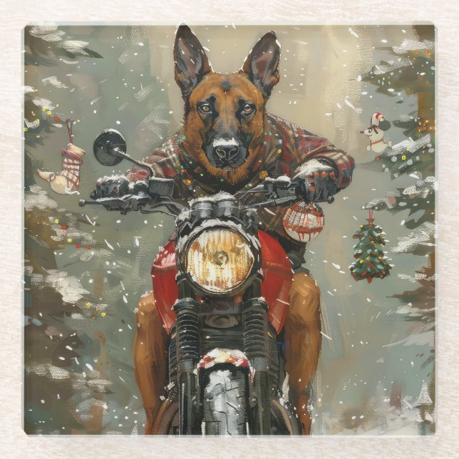 Belgian Malinoi Dog Riding Motorcycle Christmas  Glass Coaster (Front)