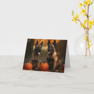 Belgian Malinoi Puppy Autumn Delight Pumpkin Card