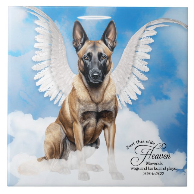 Belgian Malinois Angel Personalised Pet Memorial Tile (Front)