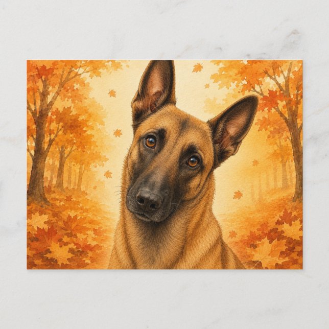 Belgian Malinois Autumn Forest Dog Postcard (Front)