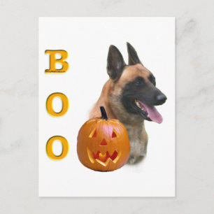 Belgian Malinois Boo Postcard