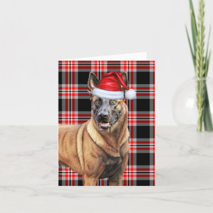 Belgian Malinois Christmas Dog Red Plaid Christmas Holiday Card