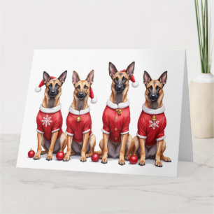 Belgian Malinois Christmas Dress Santa Hat Card