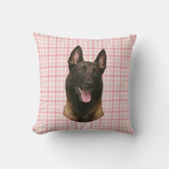 belgian malinois cushion (Front)