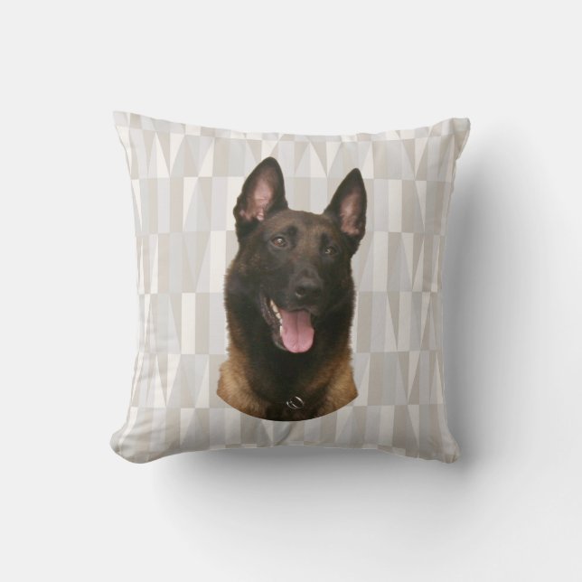belgian malinois cushion (Front)