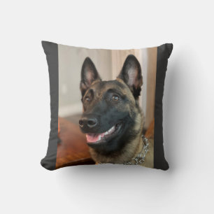 Belgian Malinois Cushion
