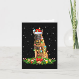 Belgian Malinois Dog Christmas Lights Funny Santa  Card