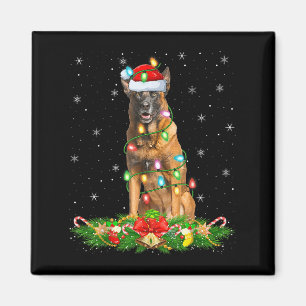 Belgian Malinois Dog Christmas Lights Funny Santa  Magnet