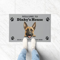 Belgian Malinois Dog