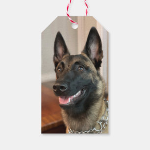 Belgian Malinois Dog Gift Tags
