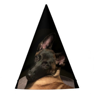 Belgian Malinois Dog Party Hat