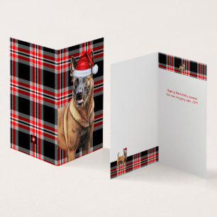 Belgian Malinois Dog Red Plaid Holiday Card
