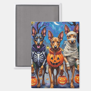 Belgian Malinois Dogs Trick-or-Treating Halloween Magnet