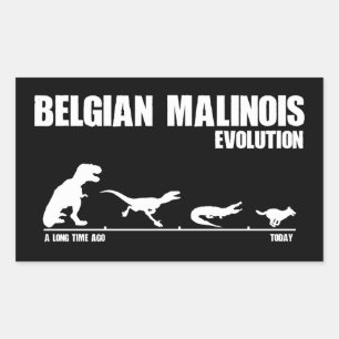 Belgian Malinois Evolution Rectangular Sticker