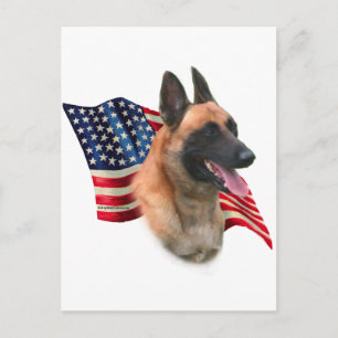Belgian Malinois Flag Postcard