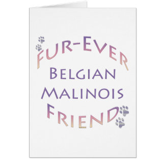 Belgian Malinois Furever