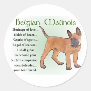 Belgian Malinois Gifts Classic Round Sticker