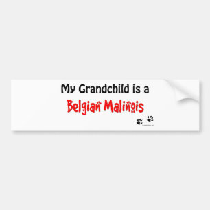 Belgian Malinois Grandchild Bumper Sticker
