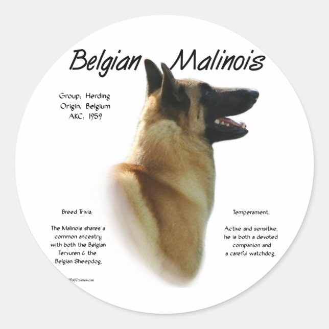 Belgian Malinois History; All about Malinois Classic Round Sticker (Front)