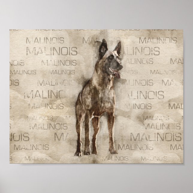 Belgian Malinois - Mechelaar  - Maligator Poster (Front)