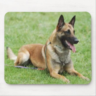 Belgian Malinois Mousepad