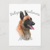 Belgian Malinois Mum 2