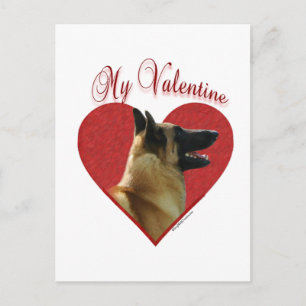 Belgian Malinois My Valentine Holiday Postcard