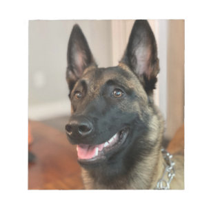 Belgian Malinois Notepad