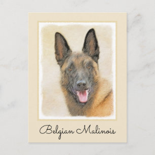 Belgian Malinois Painting - Cute Original Dog Art Postcard