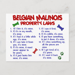 BELGIAN MALINOIS PL2 POSTCARD